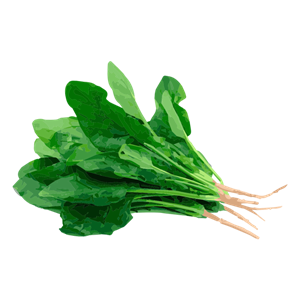 Spinach PNG-79147